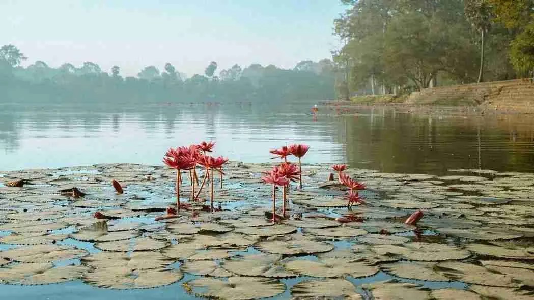 001 5.Angkor Wat – 7 Wonder Ancient Temple of the World