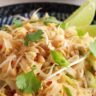 Special Traditional Pad Thai