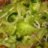Cambodian Green Tomato Salad Recipe