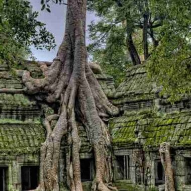 Ta Prohm Temple known as Tomb Raider Temple