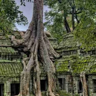 Ta Prohm Temple known as Tomb Raider Temple