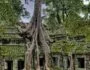 Ta Prohm Temple known as Tomb Raider Temple