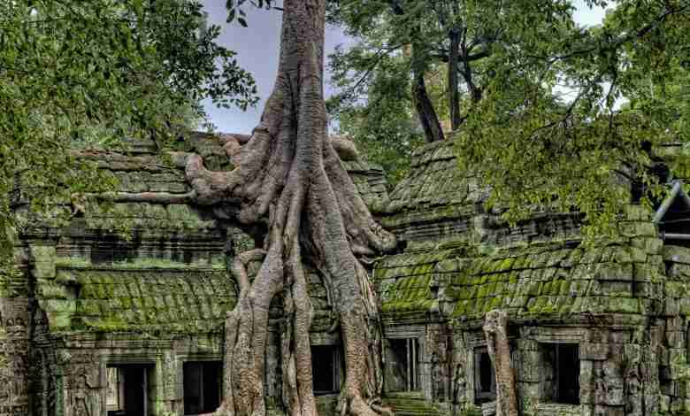 Ta Prohm Temple known as Tomb Raider Temple