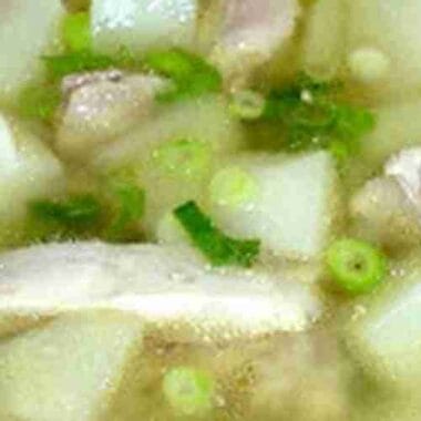 Chicken Chayote Squash Soup