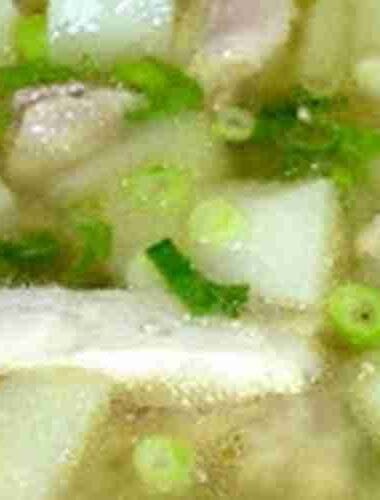 Chicken Chayote Squash Soup