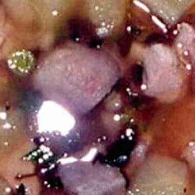 Pork with Taro Root Soup