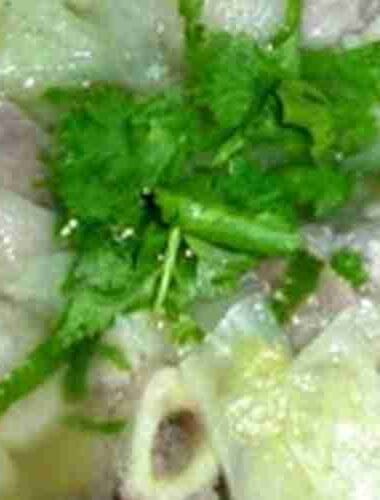 Pork Hocks and Cabbage Soup