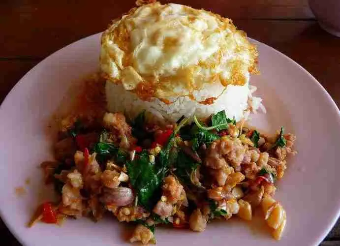 Yummy Thai Ground Chicken Basil
