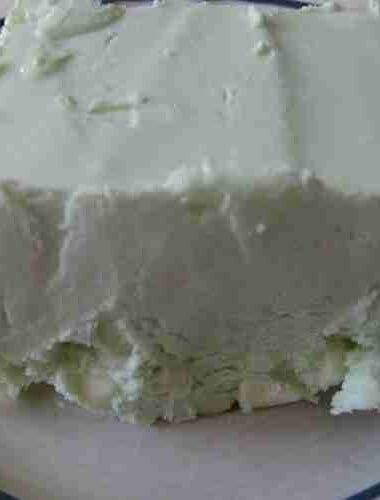 Mint Chocolate Chip Ice-cream Recipe