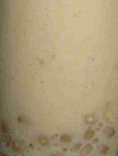 Tapioca Smoothie or Bubble Tea Recipe