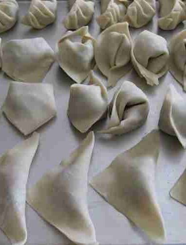 Chinese Dim Sum or Wonton