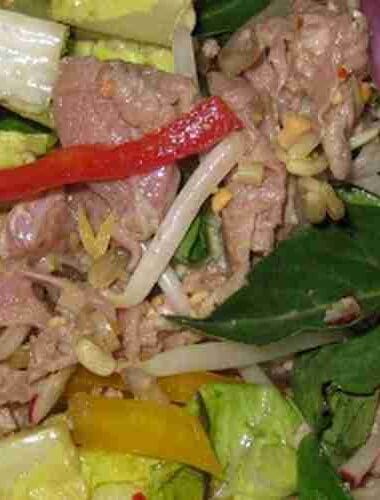 Special Asian Beef Salad