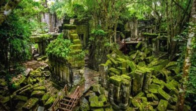Collapsed sandstone blocks and tree roots at the unrestored Beng Mealea temple in Cambodia