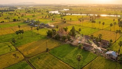Aerial view of Cambodia's flat central plains with rice paddies, palm trees, and a river winding through the landscape