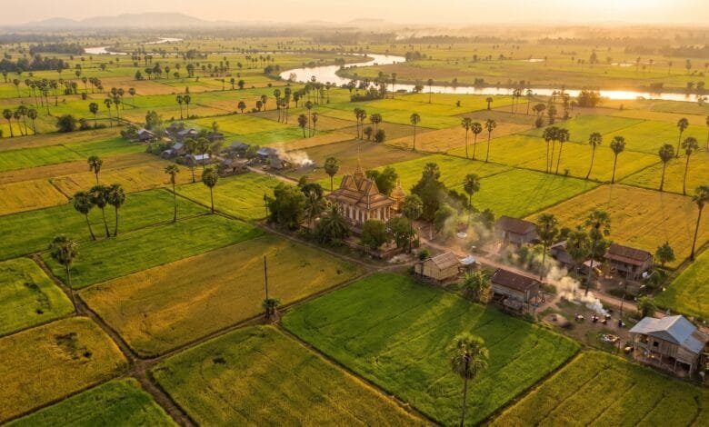 Aerial view of Cambodia's flat central plains with rice paddies, palm trees, and a river winding through the landscape