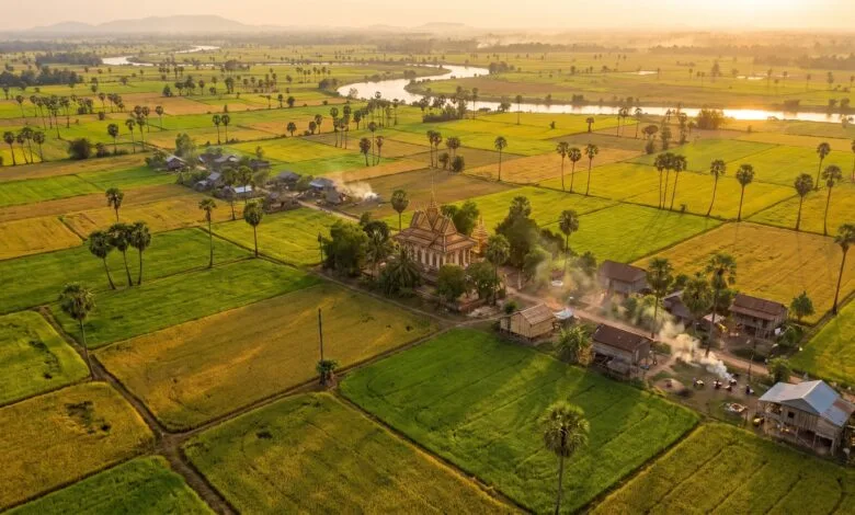 Aerial view of Cambodia's flat central plains with rice paddies, palm trees, and a river winding through the landscape