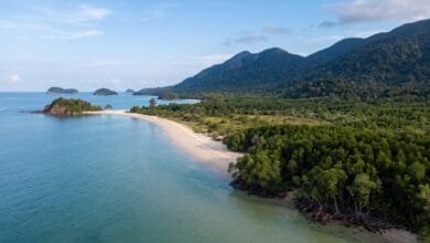 Aerial view of Cambodia's coastline showing a sandy beach, mangrove forests, and the Cardamom Mountains rising behind the Gulf of Thailand.
