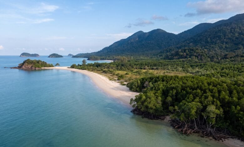 Aerial view of Cambodia's coastline showing a sandy beach, mangrove forests, and the Cardamom Mountains rising behind the Gulf of Thailand.