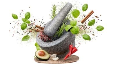 Granite mortar and pestle with fresh lemongrass, galangal, and garlic for making Cambodian kroeung