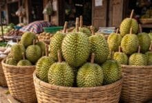 Fresh Cambodian durian fruit with green spiky husk displayed on a woven basket at an outdoor market
