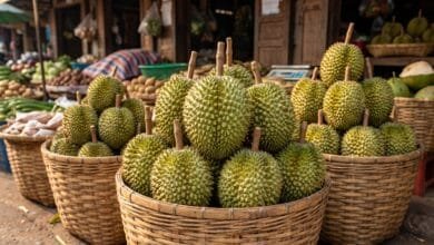 Fresh Cambodian durian fruit with green spiky husk displayed on a woven basket at an outdoor market