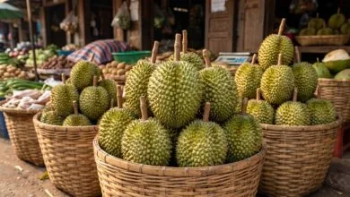 Fresh Cambodian durian fruit with green spiky husk displayed on a woven basket at an outdoor market