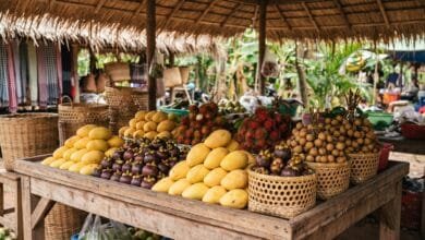 Fresh Cambodian tropical fruits arranged in a bamboo basket, including mangoes, mangosteens, rambutans, and longan