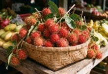 Fresh Cambodian rambutan fruits with bright red hairy skins arranged in a traditional woven basket at a local market