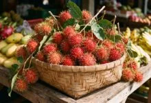 Fresh Cambodian rambutan fruits with bright red hairy skins arranged in a traditional woven basket at a local market