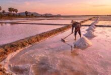 Kampot salt fields in Cambodia at sunset with evaporation ponds and harvested salt piles