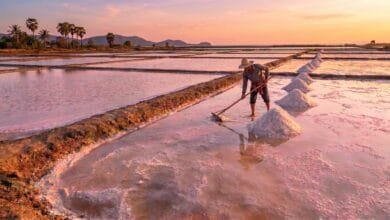 Kampot salt fields in Cambodia at sunset with evaporation ponds and harvested salt piles