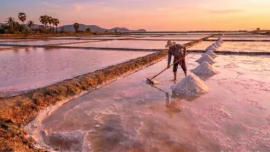 Kampot salt fields in Cambodia at sunset with evaporation ponds and harvested salt piles