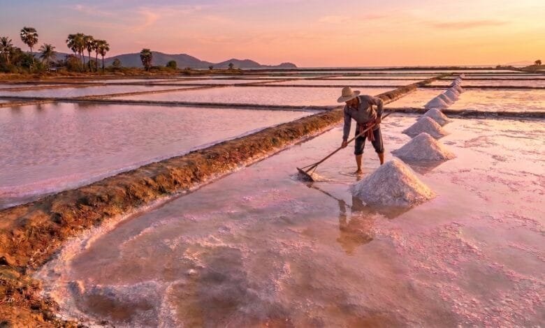 Kampot salt fields in Cambodia at sunset with evaporation ponds and harvested salt piles