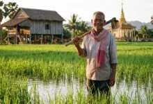 A Khmer rice farmer standing in a green rice paddy in rural Cambodia, wearing a traditional krama scarf, with a wooden stilt house and Buddhist temple in the background.