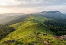 Open grassland ridge on Knorng Psar Mountain in Cambodia's Cardamom Mountains