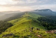Open grassland ridge on Knorng Psar Mountain in Cambodia's Cardamom Mountains