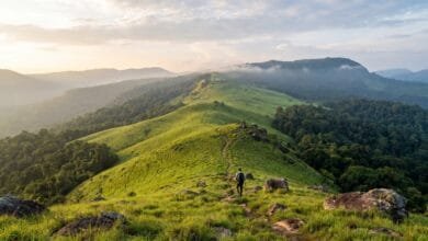 Open grassland ridge on Knorng Psar Mountain in Cambodia's Cardamom Mountains