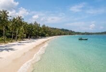White sand beach with palm trees and clear tropical water on Koh Rong island in Cambodia