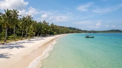 White sand beach with palm trees and clear tropical water on Koh Rong island in Cambodia