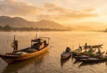 Mekong food in Cambodia fresh fish market along the river