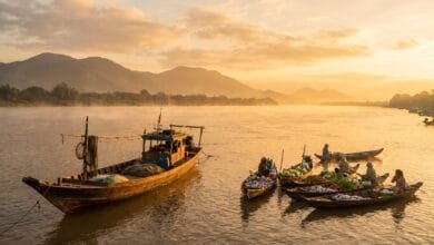 Mekong food in Cambodia fresh fish market along the river