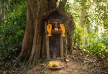 A small wooden Neak Ta spirit shrine with incense and fruit offerings under a tree in rural Cambodia