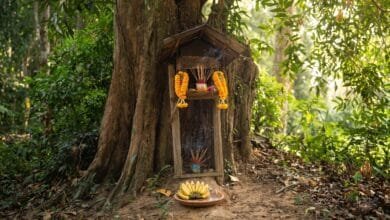 A small wooden Neak Ta spirit shrine with incense and fruit offerings under a tree in rural Cambodia