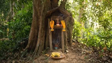 A small wooden Neak Ta spirit shrine with incense and fruit offerings under a tree in rural Cambodia