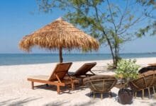 Pale sand and calm water at Otres Beach in Sihanoukville, Cambodia, with casuarina trees along the shoreline.