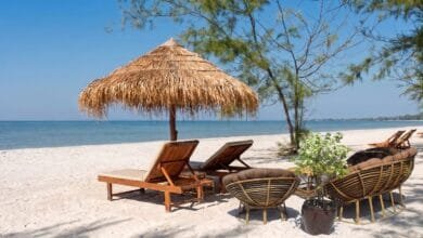 Pale sand and calm water at Otres Beach in Sihanoukville, Cambodia, with casuarina trees along the shoreline.