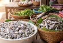 Cambodian prahok fermented fish paste in a bucket with fresh lemongrass and chilies