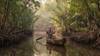 Mangrove channel in Ream National Park, Cambodia