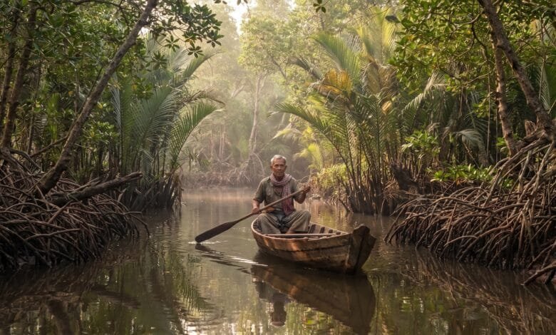 Mangrove channel in Ream National Park, Cambodia