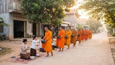 Buddhist monks in saffron robes walking in a line along a Cambodian street at dawn, carrying alms bowls